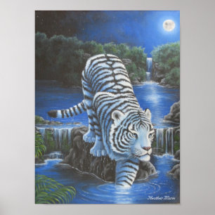 White Tirger Poster