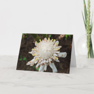 White Torch Ginger Flower Photography Thank You Card
