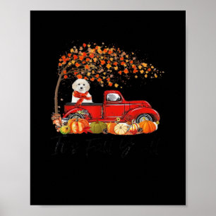 White Toy Poodle It’s Fall Y’all Pumpkin Fall  Poster