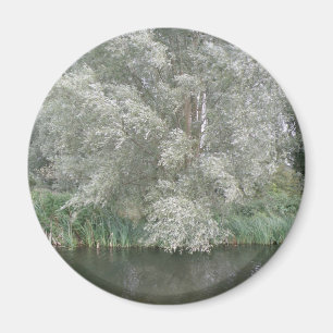 White Tree and River Landscape Magnet