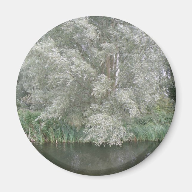 White Tree and River Landscape Magnet (Front)