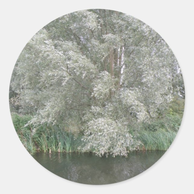 White Tree and River Landscape Stickers (Front)