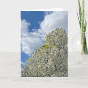 White Tree Blue Sky Clouds Photo Card