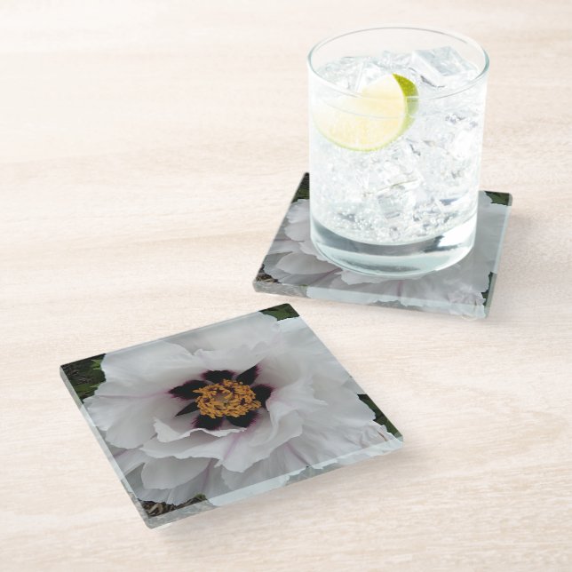White Tree Peony Floral Glass Coaster (Angled)