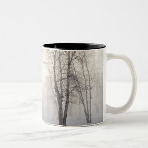 White Trees on a Snowy Day Two-Tone Coffee Mug