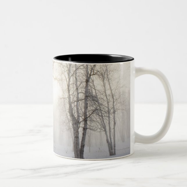 White Trees on a Snowy Day Two-Tone Coffee Mug (Right)