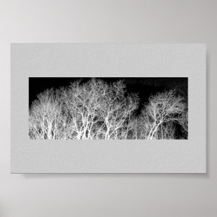 White Trees Poster