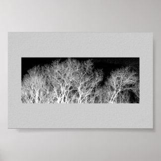 White Trees Poster