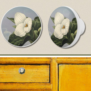 White Trillium Flower in Temple of Flora Style Ceramic Knob
