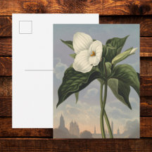White Trillium Flower in Temple of Flora Style 