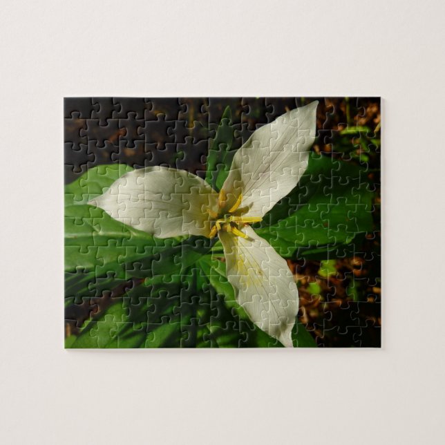 White Trillium Flower Spring Wildflower Jigsaw Puzzle (Horizontal)
