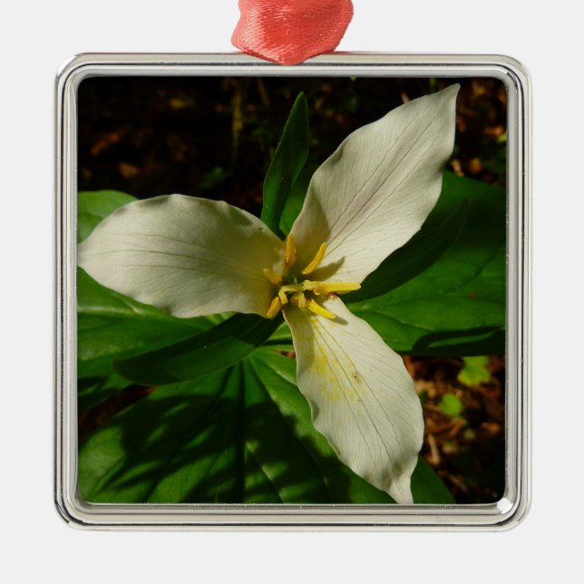 White Trillium Flower Spring Wildflower Metal Tree Decoration (Front)