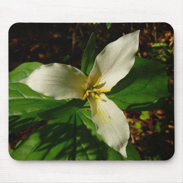 White Trillium Flower Spring Wildflower Mouse Mat (Front)
