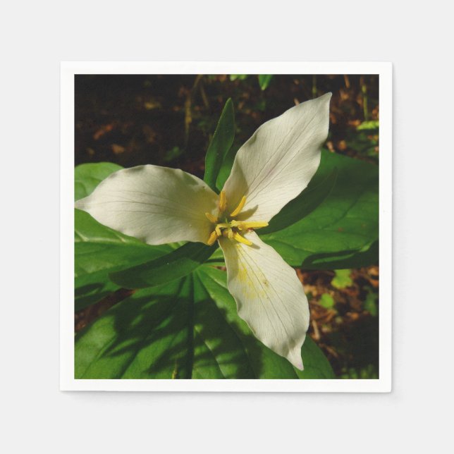 White Trillium Flower Spring Wildflower Napkin (Front)