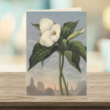 White Trillium Flower Temple of Flora Style Blank 