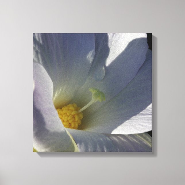 White Tropical Flower Canvas Print (Front)