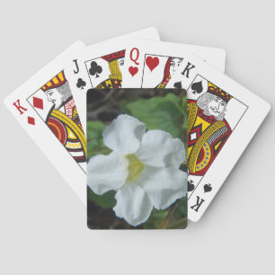 White Tropical Flower Found on Fiji Playing Cards