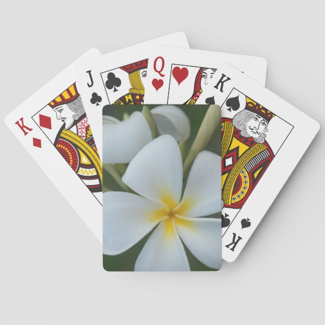 White Tropical Flower From Fiji Playing Cards (Back)