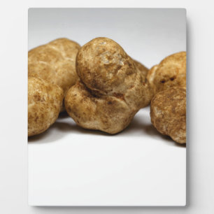 White truffles of the species tuber oligospermum. plaque