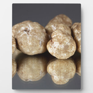 White truffles Tuber oligospermum Plaque