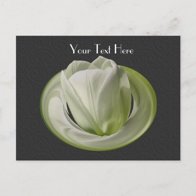 White Tulip Black Floral Customisable Postcard (Front)