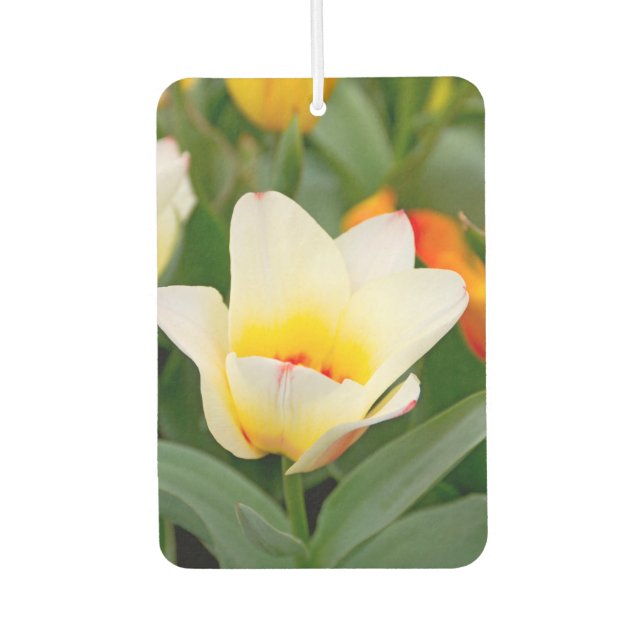 White Tulip Car Air Freshener (Front)