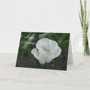 white tulip card