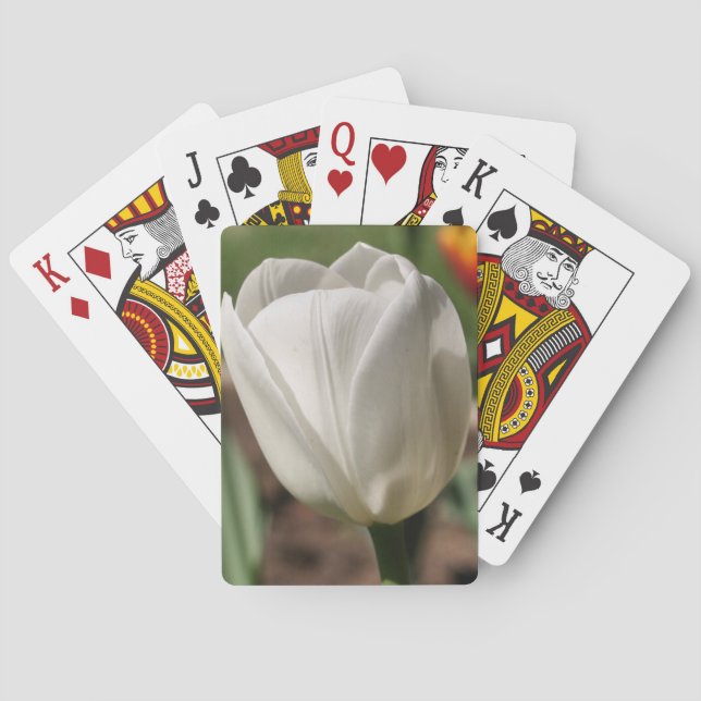 White Tulip Flower In Sunlight  Playing Cards (Back)