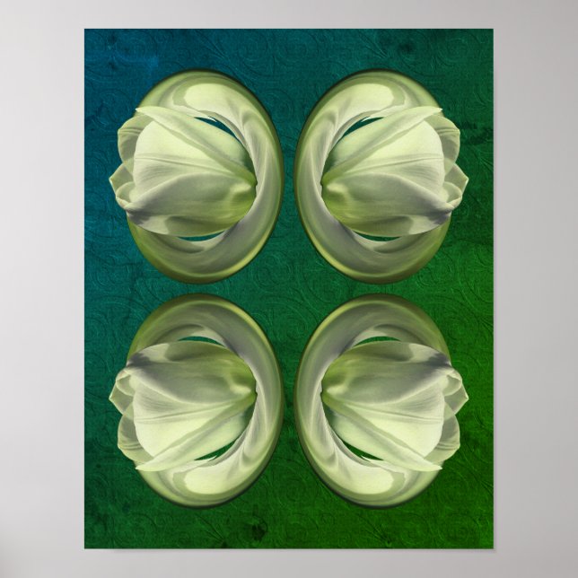 White Tulip Flower Petals Abstract  Poster (Front)