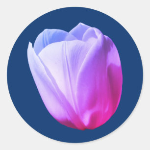 White Tulip Flower Tinted Classic Round Sticker
