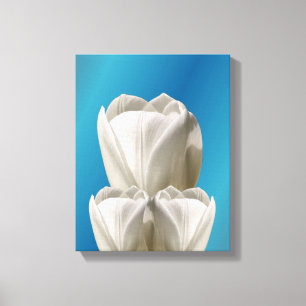 White Tulip Flowers Canvas Print