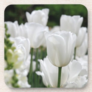 white tulip garden coaster