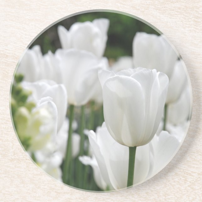 white tulip garden coaster (Front)