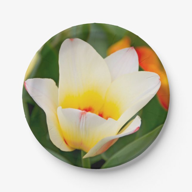 White Tulip Paper Plate (Front)