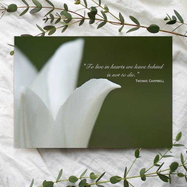 White Tulip Thank You for Your Sympathy Card (Creator Uploaded)