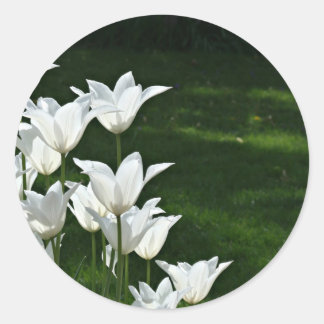 White tulip Wedding sticker