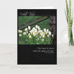 White Tulips by Anna Wight Card