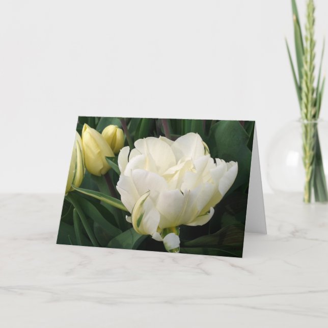 White Tulips Greeting Card (Front)
