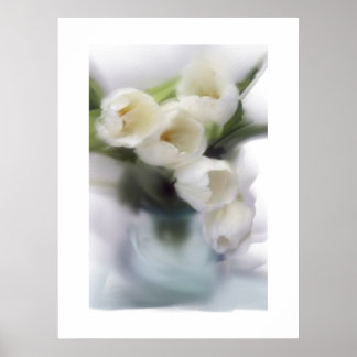 White Tulips Poster