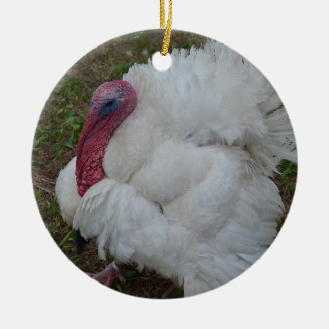 White Turkey Ceramic Tree Decoration (Front)
