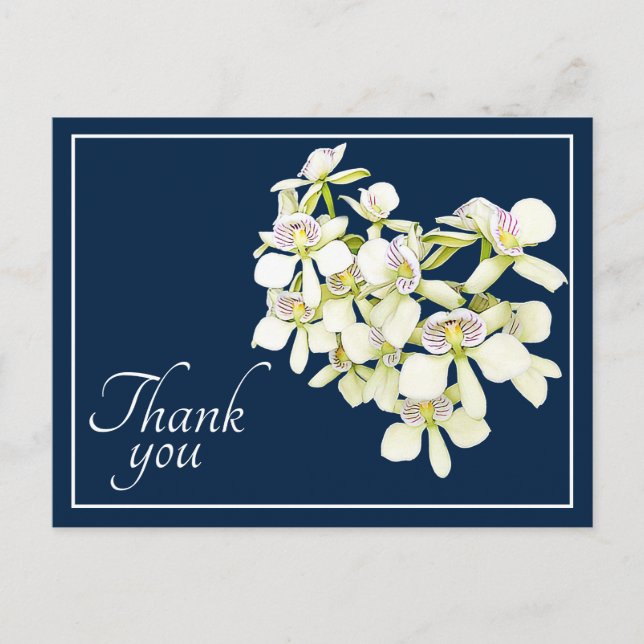 White Veined Orchids Navy Background Thank You Postcard (Front)