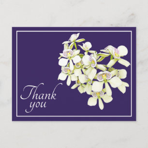 White Veined Orchids Purple Background Thank You Postcard