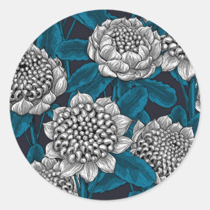 White waratah flowers classic round sticker