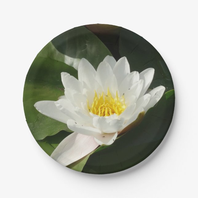 White Water Lilly, Lotus Flower  Paper Plate (Front)