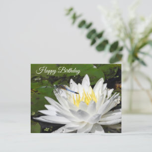 White Water Lily, Blue Dragonfly Birthday Postcard