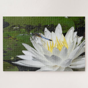 White Water Lily, Blue Dragonfly, Pond Life Jigsaw Puzzle