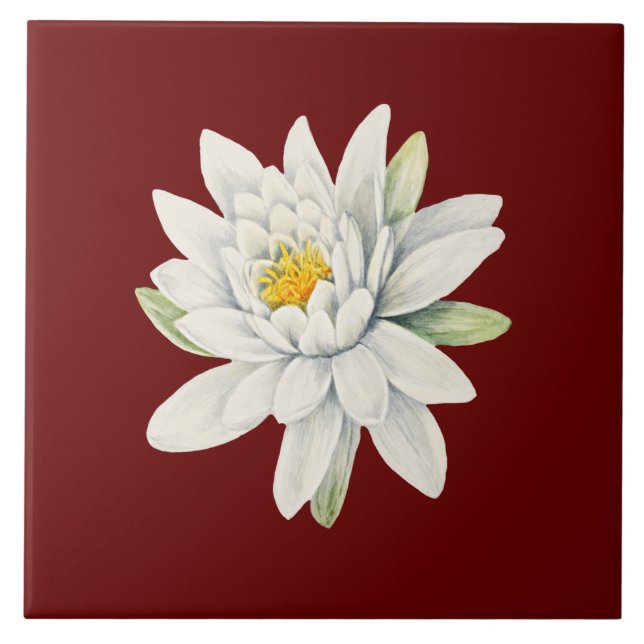 White water lily flower tile (Front)