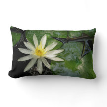 White Water Lily | Green Lily Pads Photograph