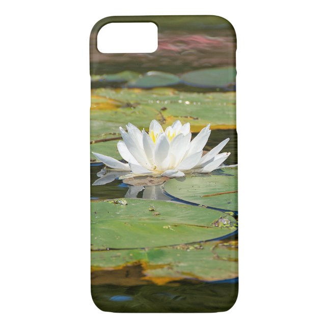 white water lily in pond Case-Mate iPhone case (Back)
