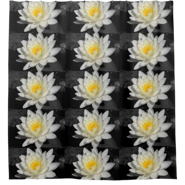 White Water Lily Photograph Shower Curtain (Front)